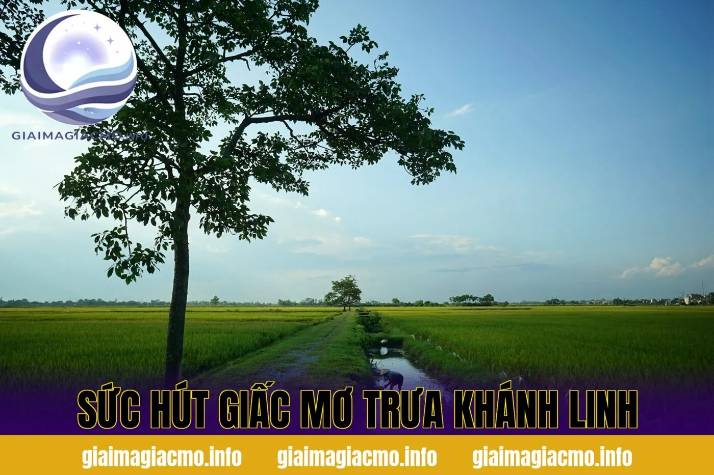 sức hút giấc mơ trưa khánh linh