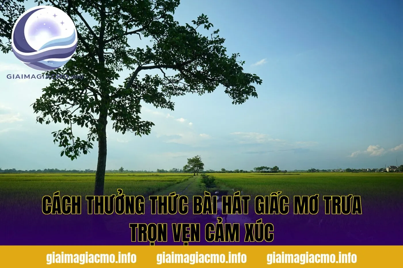 cách thưởng thức bài hát giấc mơ trưa trọn vẹn cảm xúc