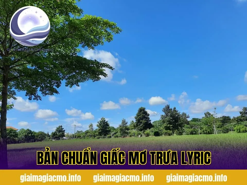 bản chuẩn giấc mơ trưa lyric