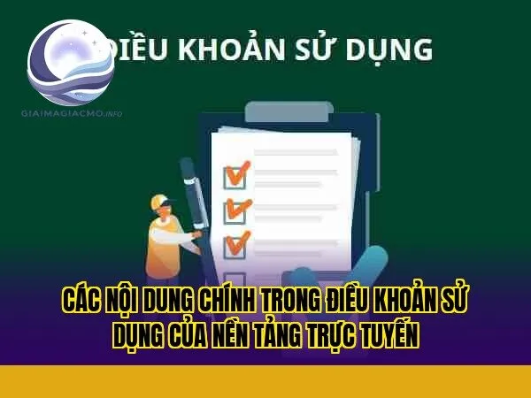 các nội dung chính trong điều khoản sử dụng của nền tảng trực tuyến