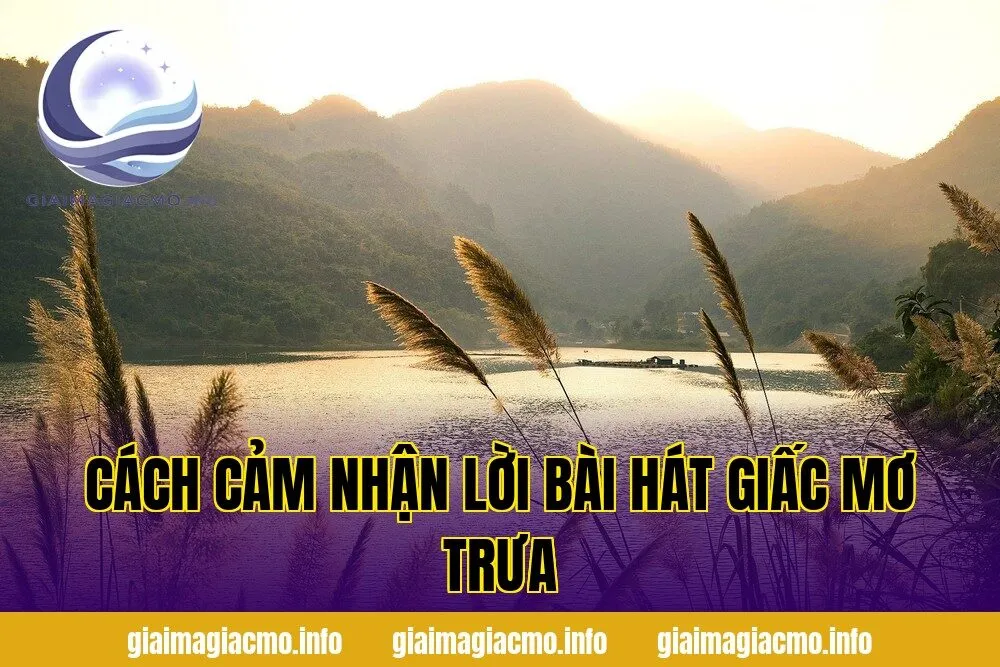 cách cảm nhận lời bài hát giấc mơ trưa