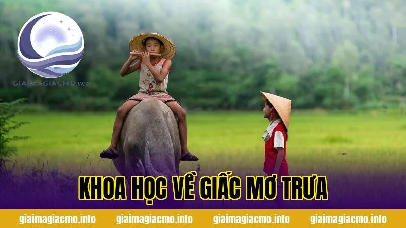 khoa học về giấc mơ trưa