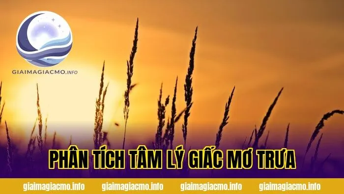 phân tích tâm lý giấc mơ trưa