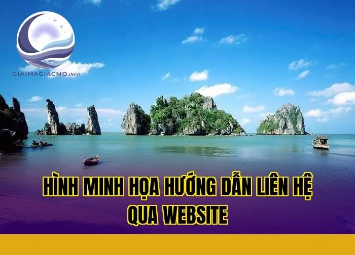 hình minh họa hướng dẫn liên hệ qua website
