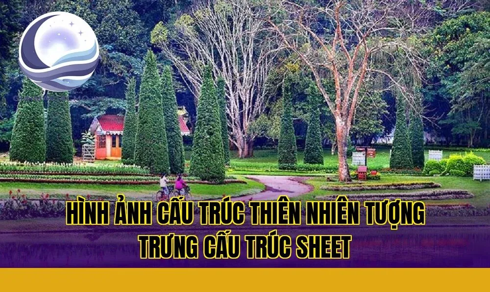 hình ảnh cấu trúc thiên nhiên tượng trưng cấu trúc sheet
