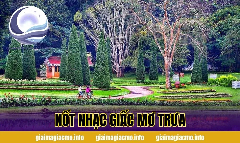 Nốt Nhạc Giấc Mơ Trưa