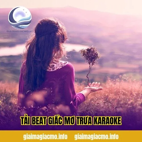 tải beat giấc mơ trưa karaoke