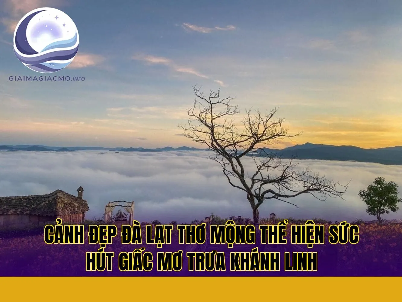cảnh đẹp Đà Lạt thơ mộng thể hiện sức hút giấc mơ trưa Khánh Linh