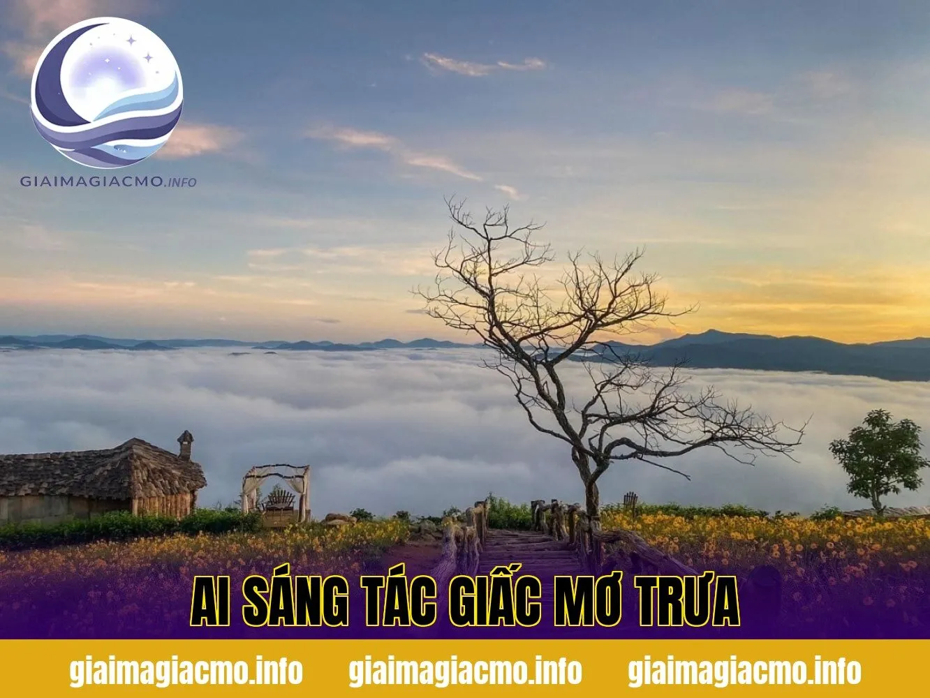 Ai Sáng Tác Giấc Mơ Trưa