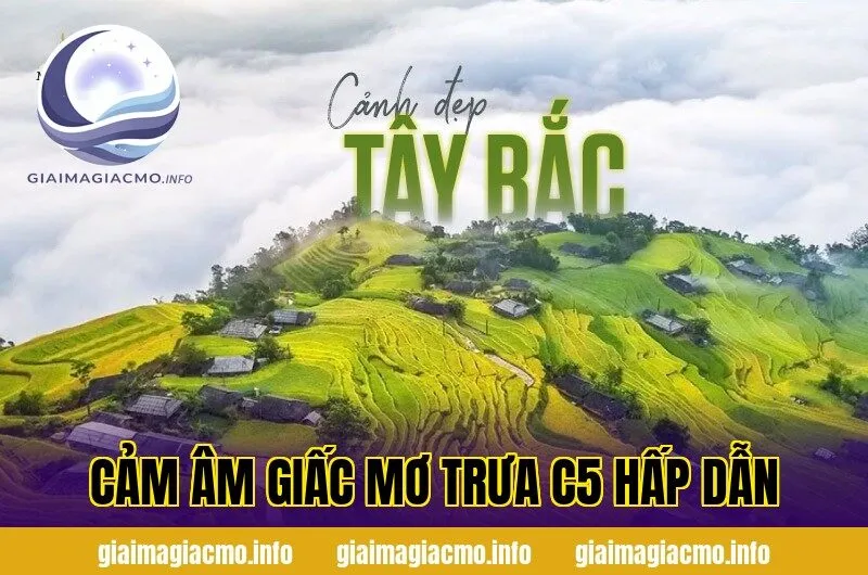 cảm âm giấc mơ trưa c5 hấp dẫn