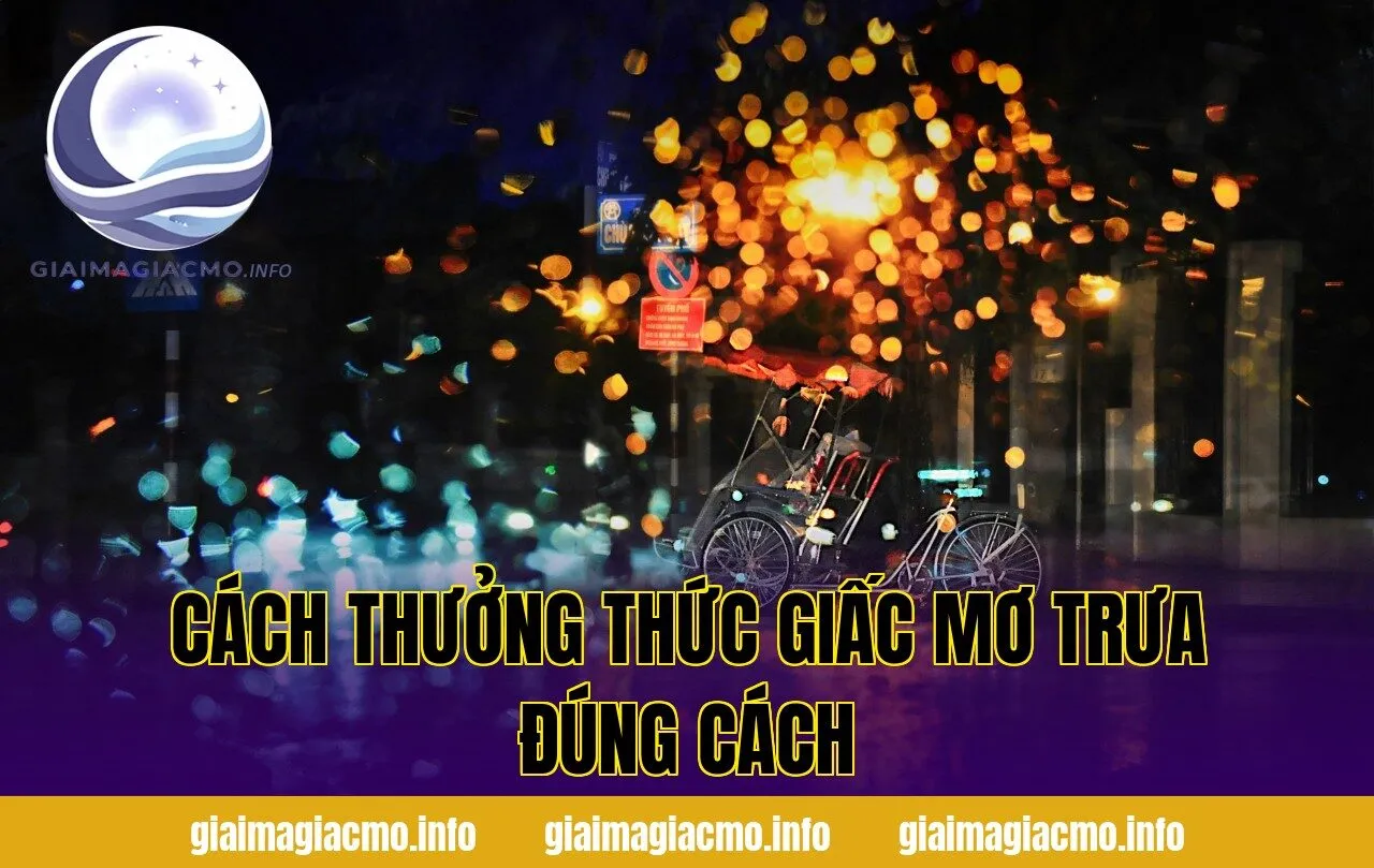 cách thưởng thức giấc mơ trưa đúng cách