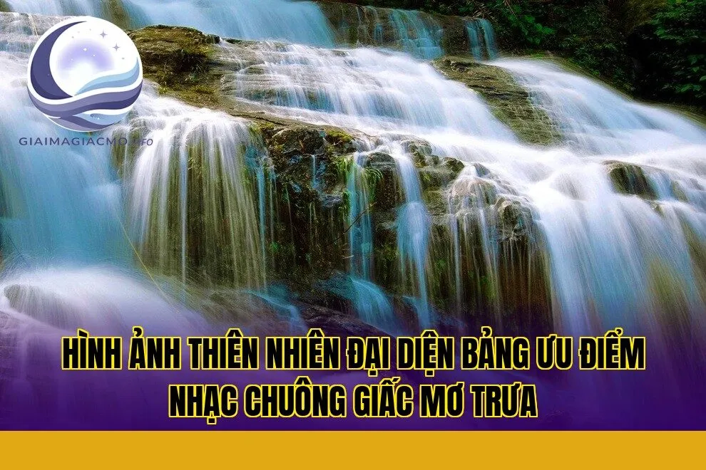 hình ảnh thiên nhiên đại diện bảng ưu điểm nhạc chuông giấc mơ trưa