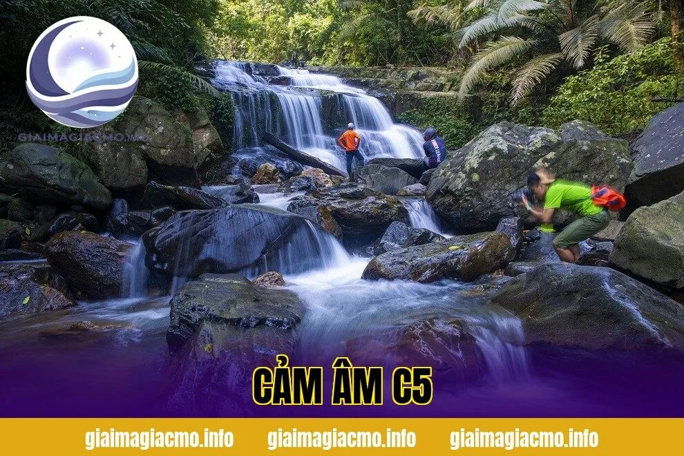 Cảm Âm C5