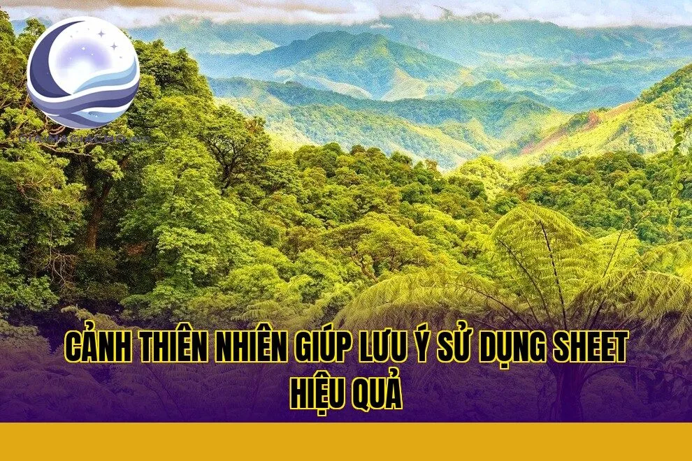 cảnh thiên nhiên giúp lưu ý sử dụng sheet hiệu quả