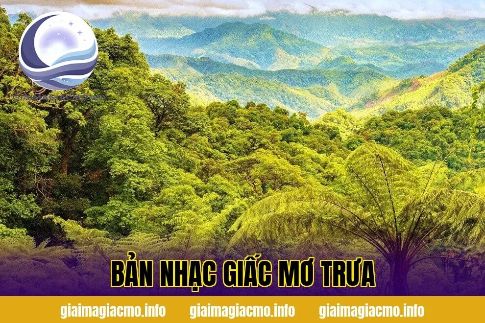 Bản Nhạc Giấc Mơ Trưa