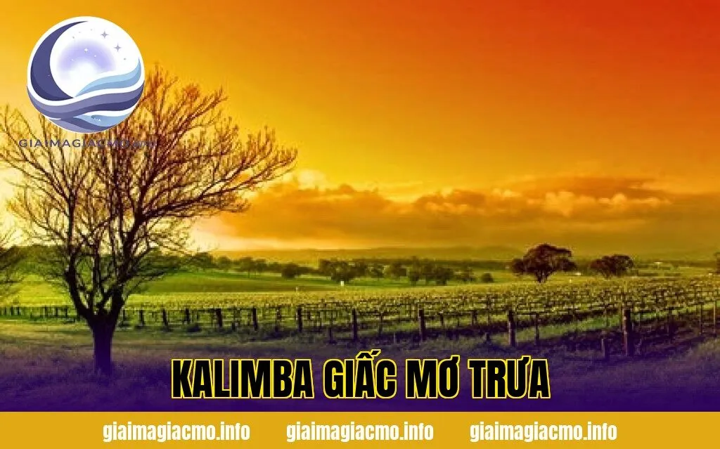 Kalimba Giấc Mơ Trưa