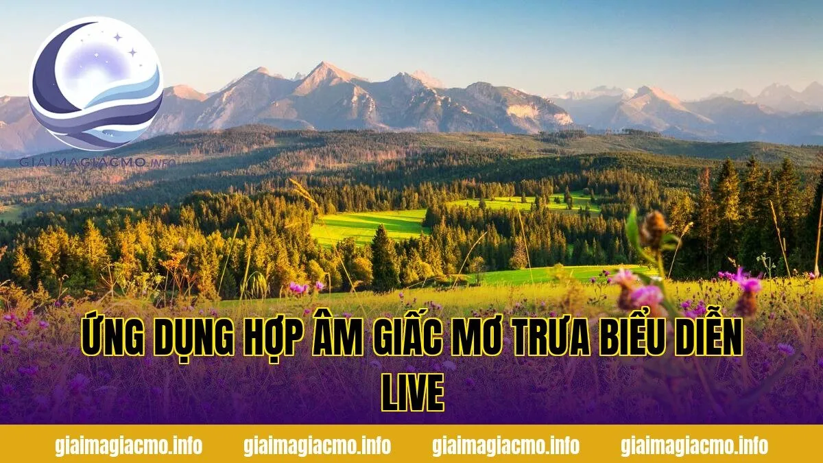 ứng dụng hợp âm giấc mơ trưa biểu diễn live