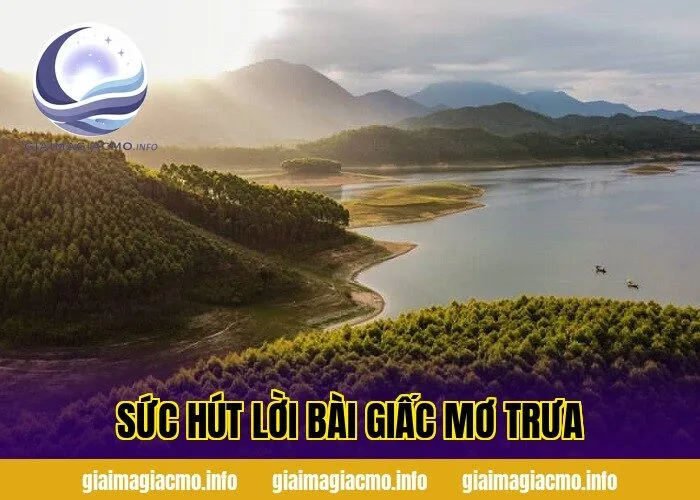 sức hút lời bài giấc mơ trưa