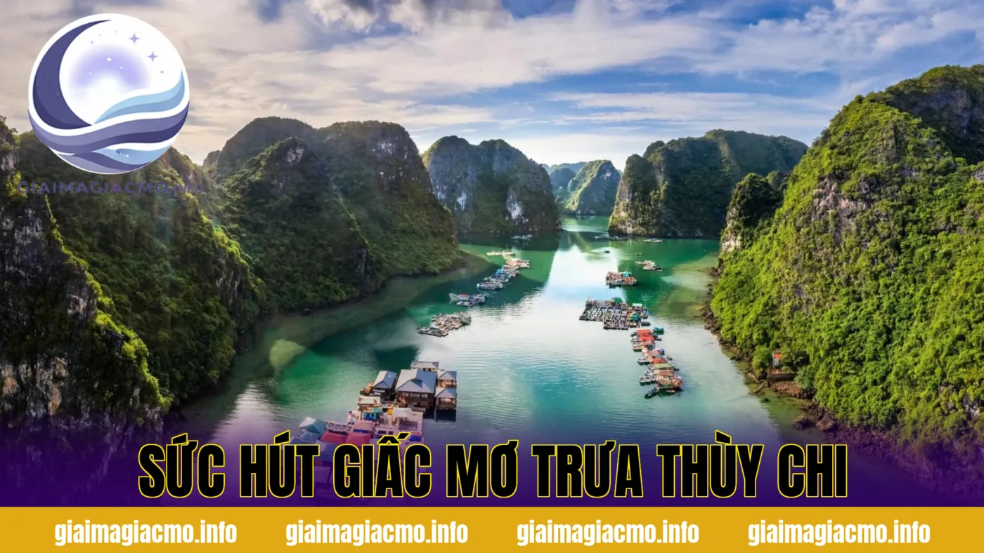 sức hút giấc mơ trưa thùy chi