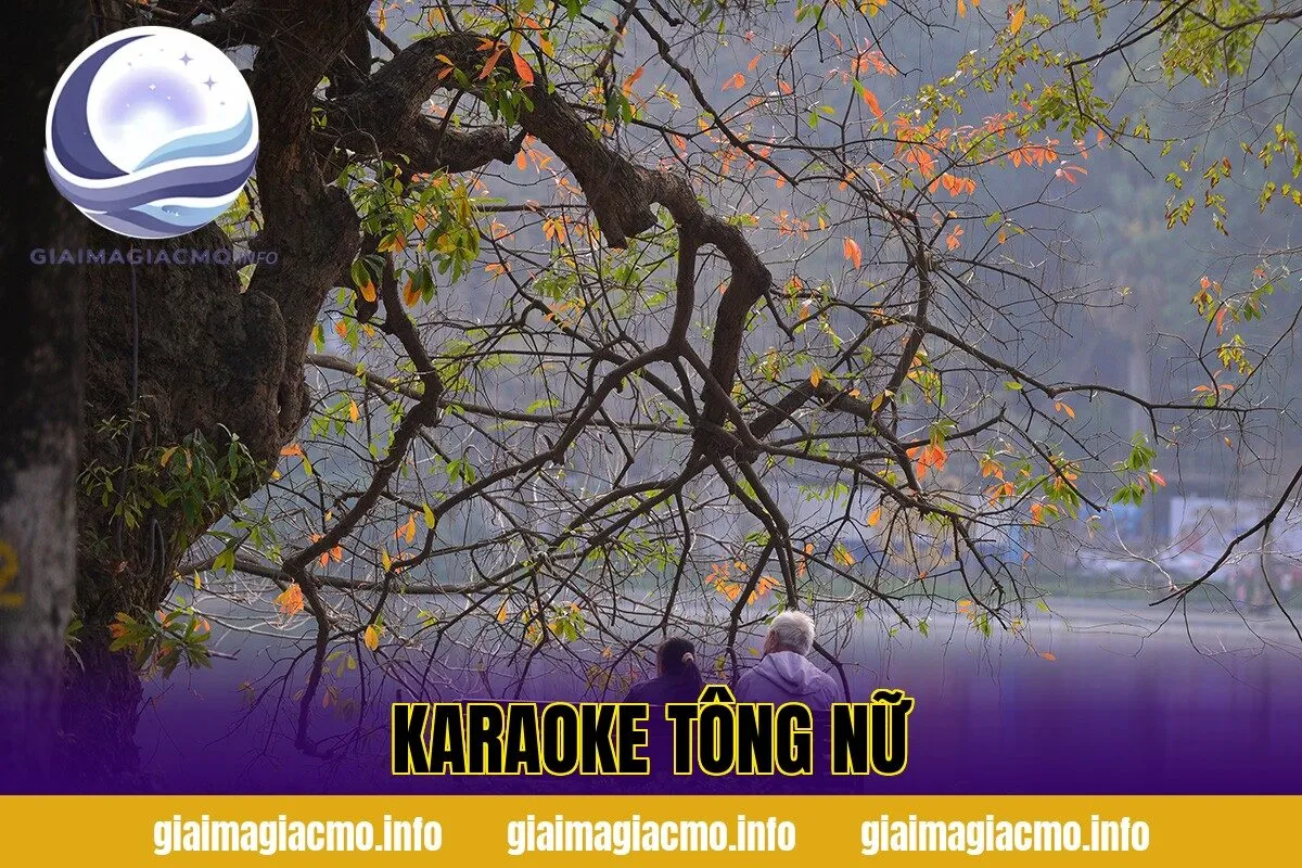 Karaoke Tông Nữ