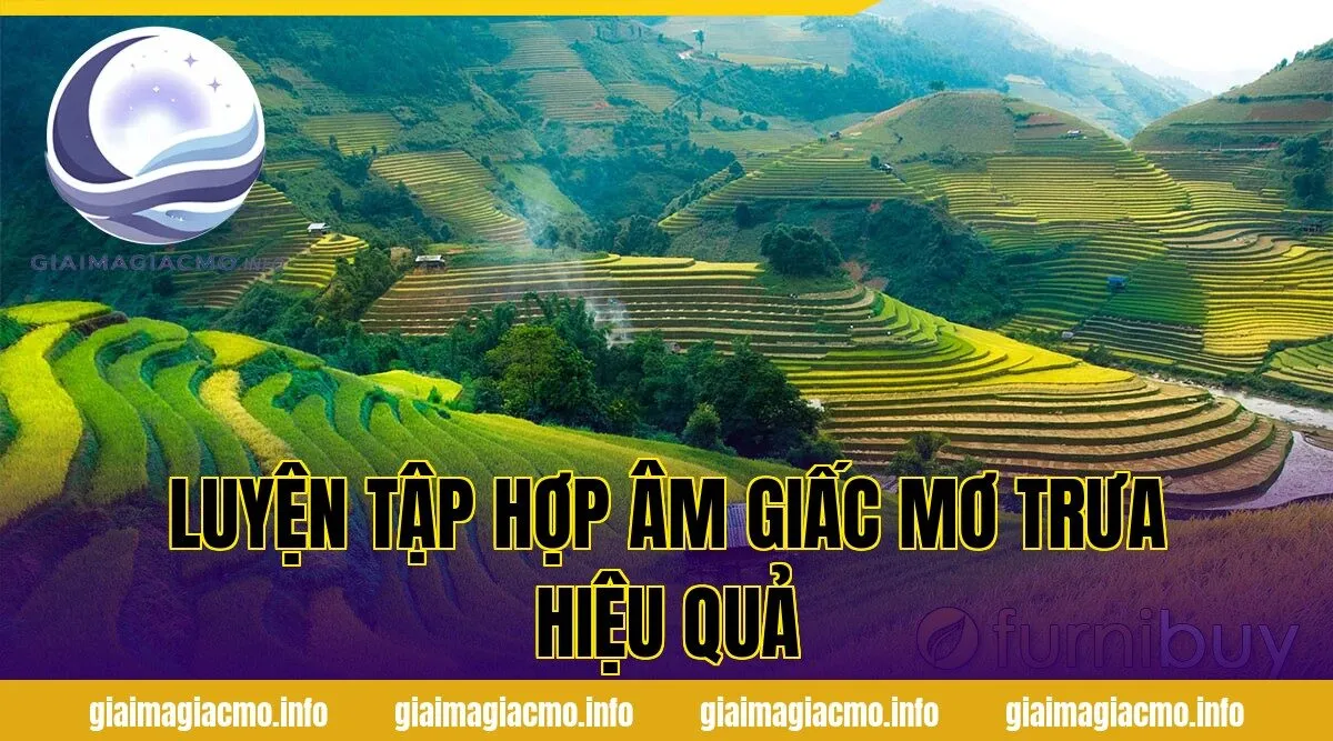 luyện tập hợp âm giấc mơ trưa hiệu quả