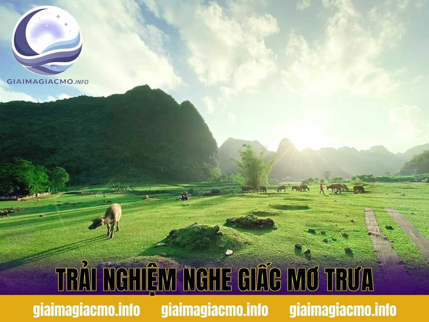 trải nghiệm nghe giấc mơ trưa