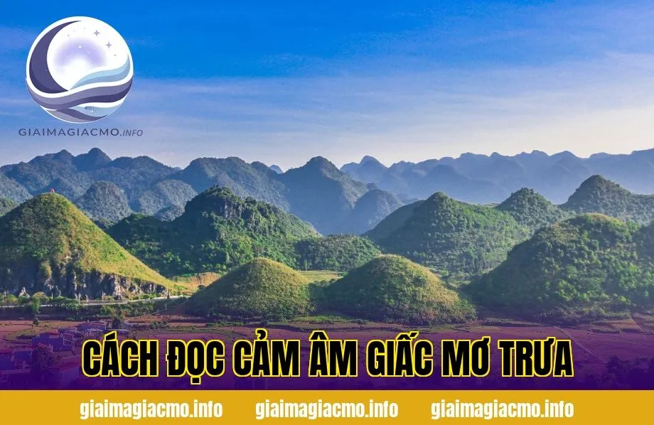 cách đọc cảm âm giấc mơ trưa