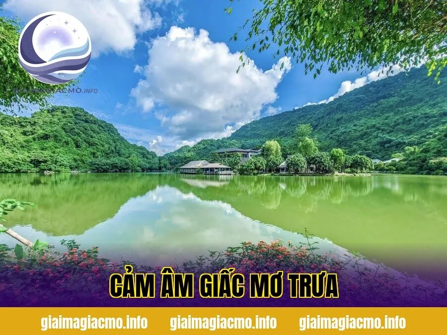 Cảm Âm Giấc Mơ Trưa