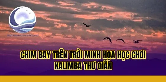 chim bay trên trời minh họa học chơi kalimba thư giãn