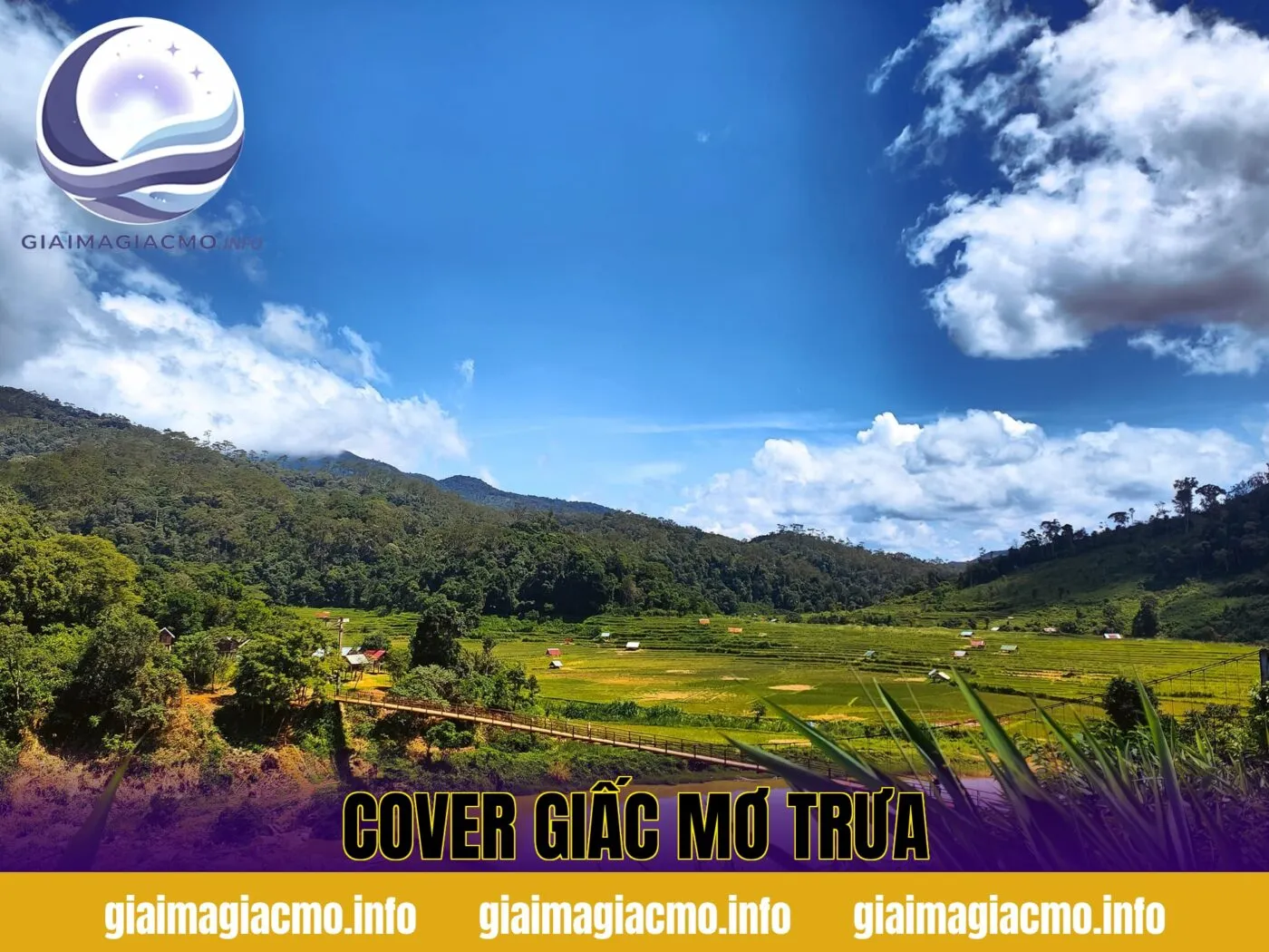 cover giấc mơ trưa