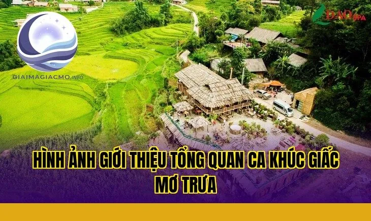 hình ảnh giới thiệu tổng quan ca khúc giấc mơ trưa