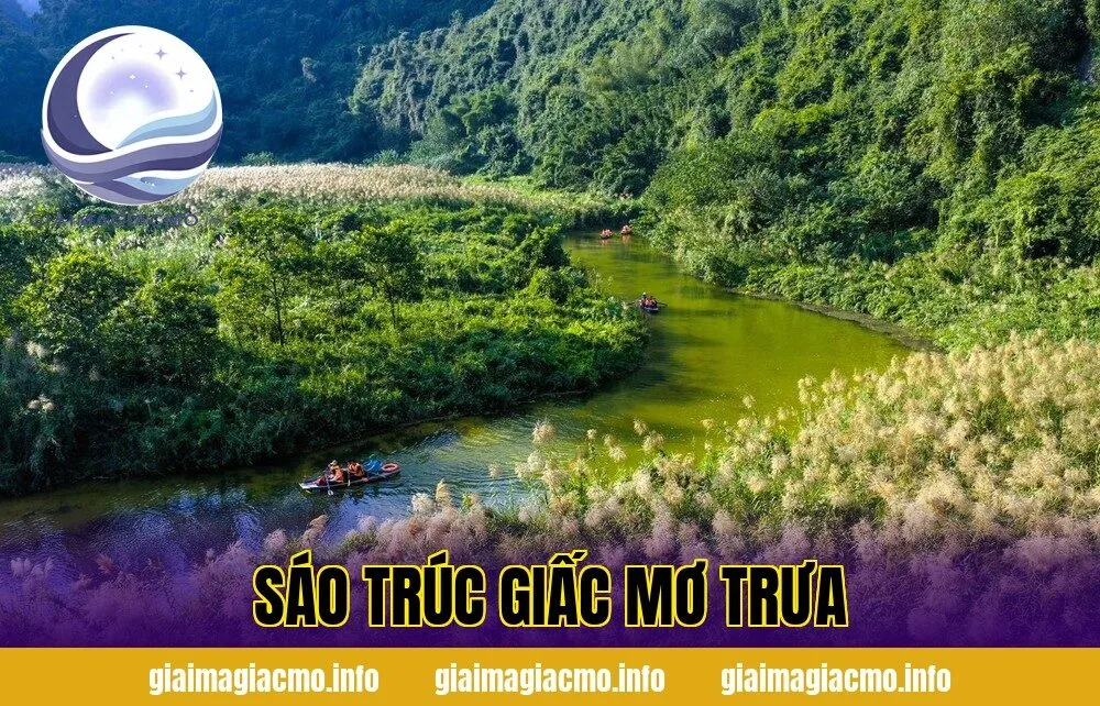 Sáo Trúc Giấc Mơ Trưa