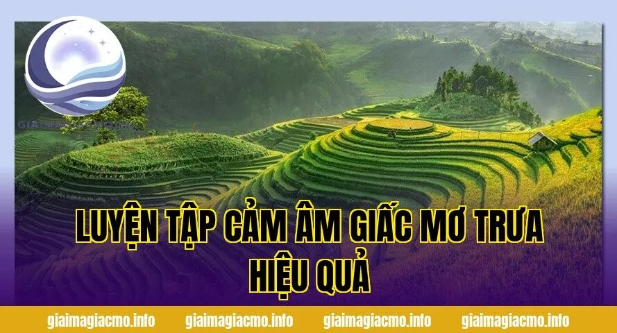 luyện tập cảm âm giấc mơ trưa hiệu quả