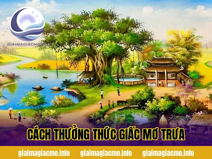 cách thưởng thức giấc mơ trưa