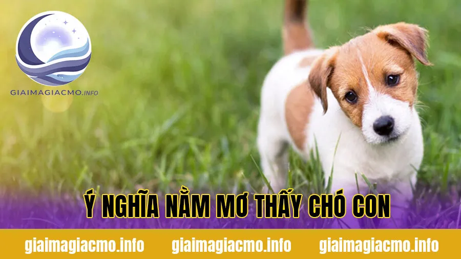 Ý nghĩa nằm mơ thấy chó con