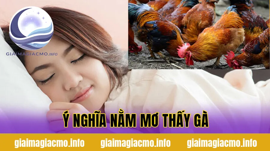 Ý nghĩa nằm mơ thấy gà