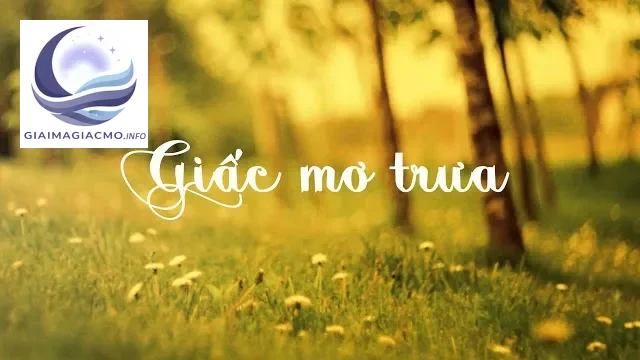 Ý Nghĩa Ca Khúc Giấc Mơ Trưa