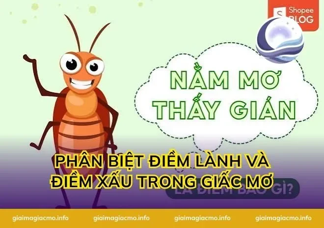 Phân Biệt Điềm Lành Và Điềm Xấu Trong Giấc Mơ