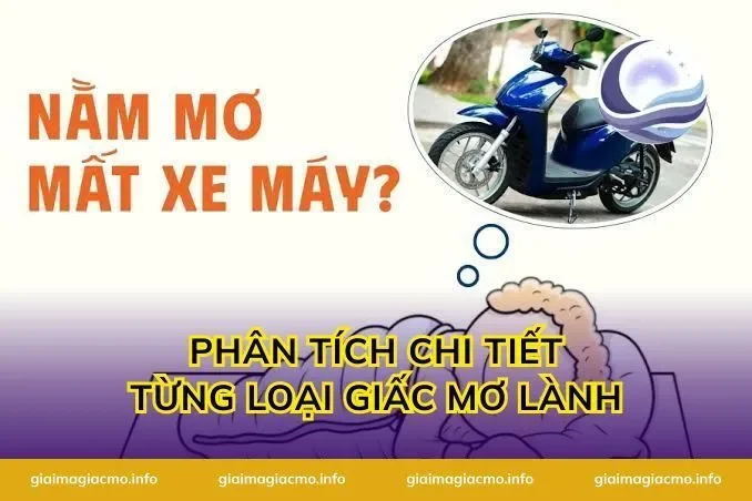 Phân Tích Chi Tiết Từng Loại Giấc Mơ Lành